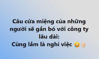 Bài học vỡ lòng cho "chiếu mới" công sở: Đồng nghiệp đòi nghỉ thường gắn bó với công ty
