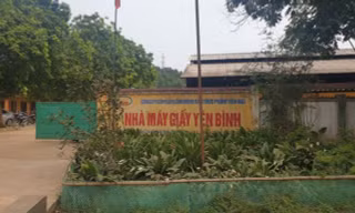 Yên Bái: Tai nạn lao động tại nhà máy giấy, một người tử vong