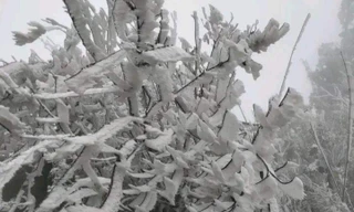 Xuất hiện băng giá ở Mù Cang Chải 