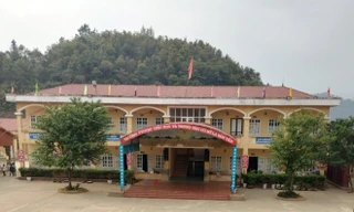 Đình chỉ giáo viên vụ nghi đánh học sinh chấn thương