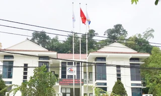 Một doanh nghiệp bị phạt hơn 200 triệu đồng do vi phạm luật bảo vệ môi trường