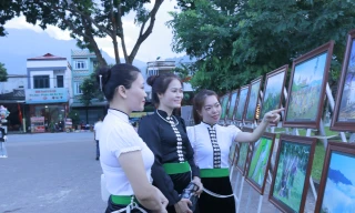 Yên Bái lần đầu tổ chức lễ hội trà Shan tuyết