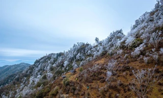 Băng tuyết phủ trắng núi cao Mù Cang Chải