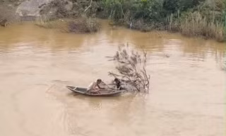Người đàn ông lao xuống nước sâu, cứu hai cháu nhỏ trong cơn lũ dữ