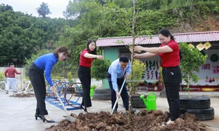 Tuổi trẻ Yên Bái với hành trình xây dựng quê hương xanh