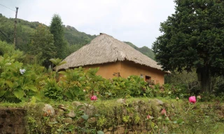 Độc đáo nhà cổ trình tường miền biên viễn