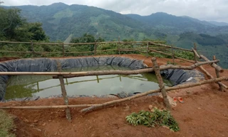 3 cháu nhỏ tử vong do đuối nước