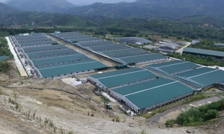 Trại lợn 136 tỷ đồng bốc mùi hôi thối, người dân bức xúc