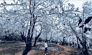 Băng tuyết phủ trắng Y Tý như trời Âu