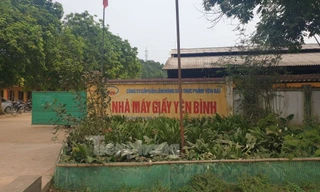 Xử phạt 500 triệu đồng nhà máy giấy ở Yên Bái