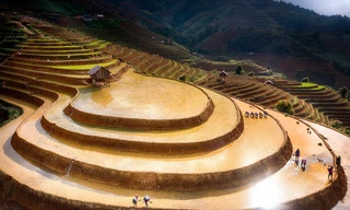 Ngắm nhìn ruộng bậc thang Mù Cang Chải mùa nước đổ