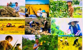 Thu thập thông tin liên quan hơn 62 triệu người ở nông thôn