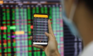 Sắc xanh bao phủ sàn chứng khoán 