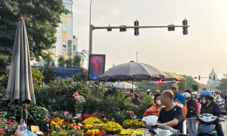 Người Hà Nội nườm nượp đi sắm Tết