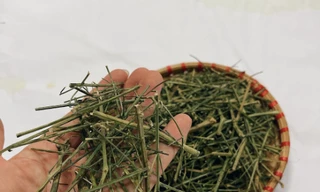 Cây khô 'phòng COVID-19' giá nửa triệu đồng, chuyên gia cảnh báo thực hư công dụng