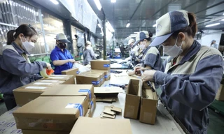 Nói thủ tục khó dễ, nhưng hỏi thật: Doanh nghiệp Việt đã 'chín' hay chưa? 