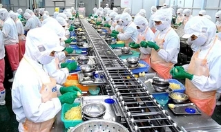 Lộ diện tỉnh duy nhất Việt Nam có vốn FDI vượt mốc 3 tỷ USD 