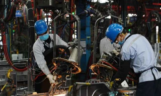 Doanh nghiệp châu Âu phàn nàn về 'rào cản' thủ tục hành chính