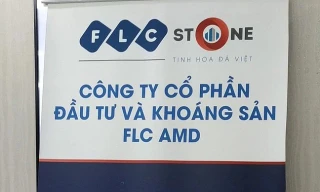 Thêm cổ phiếu nhóm FLC nhận 'án' rời sàn