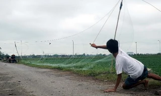 Chim én lên… bàn nhậu