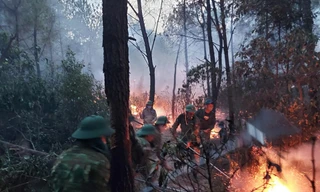 Bất cẩn khi đốt rác, người phụ nữ khiến rừng bị cháy dữ dội