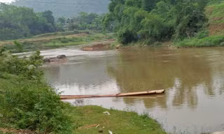 Hiện trường vụ việc