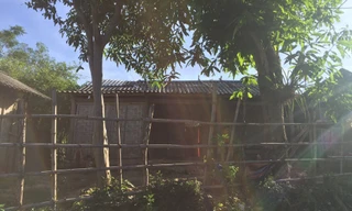 Ở với người tình của mẹ, bé 2 tuổi tử vong bất thường