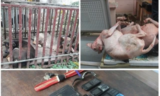 Nhóm 'cẩu tặc' gây ra hơn 100 vụ, dùng súng tự chế chống trả khi bị truy đuổi