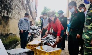 Ngư dân Nghệ An mang hàng tạ cá biển tươi đến ủng hộ khu cách ly tập trung