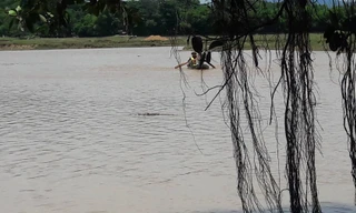 Người đàn ông mất tích khi đi chăn trâu