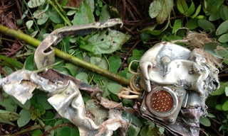 Hơn 200 người tìm kiếm phi công Su-22 rơi tại Nghệ An