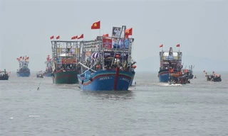 Nhịp sống nơi cảng cá bình yên mỗi chuyến thuyền về cập bến