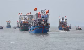 Nhịp sống nơi cảng cá bình yên mỗi chuyến thuyền về cập bến