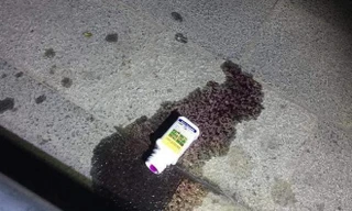 Người phụ nữ gục cạnh lọ thuốc trừ sâu tại trạm chờ xe buýt