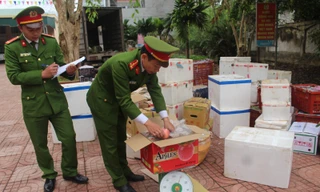 Nghệ An: Bắt giữ 2 tấn hoa quả các loại không rõ nguồn gốc 