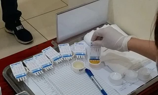 Nghệ An: Phát hiện 10 tài xế dương tính với ma túy