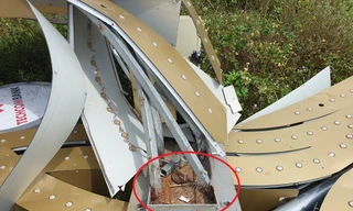 Lộ nguyên nhân công trình 11 tỷ đồng ở TP Vinh đổ gãy chỉ sau trận giông lốc