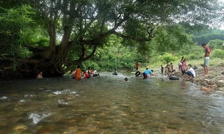 Ra suối tắm dịp nghỉ lễ, người đàn ông bị đỉa hút no máu mũi