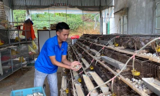 Nghị lực của chàng thanh niên mồ côi thu nhập trăm triệu đồng mỗi tháng