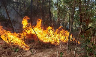 Hơn 300 người đội nắng ngăn 'thần lửa nuốt rừng'