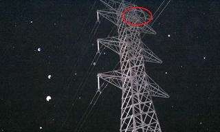 Hy hữu em giải cứu anh bất thành, cùng mắc kẹt trên cột điện cao thế