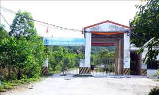 UBND tỉnh Nghệ An chỉ đạo xử lý ô nhiễm tại trại lợn Công ty Đại Thành Lộc