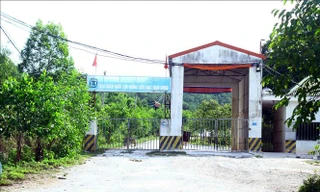 UBND tỉnh Nghệ An chỉ đạo xử lý ô nhiễm tại trại lợn Công ty Đại Thành Lộc