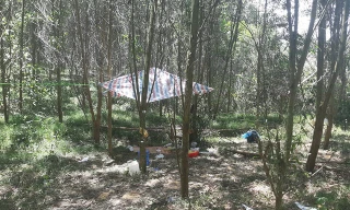 Khởi tố, tạm giam nam sinh bắt cóc khiến bé 5 tuổi tử vong trong rừng