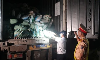 Bắt xe đầu kéo chở 30 tấn nội tạng đã bốc mùi hôi thối