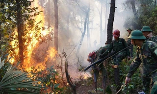 Ngày thứ 3 liên tiếp lửa vẫn cháy ở rừng thông Hà Tĩnh