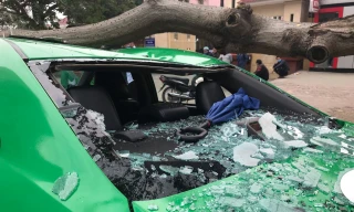 Kinh hoàng cành cây bất ngờ đè bẹp dúm taxi
