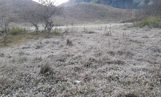 Băng giá phủ kín rừng cây bãi cỏ ở huyện biên giới Nghệ An