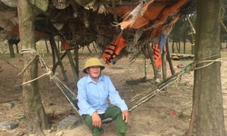 Chuyện cựu binh xứ Nghệ dành tiền trồng phi lao cứu người