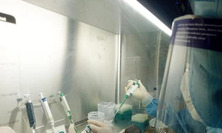 Nghệ An sẽ lấy mẫu xét nghiệm SARS-CoV-2 cho lực lượng phục vụ cách ly tập trung